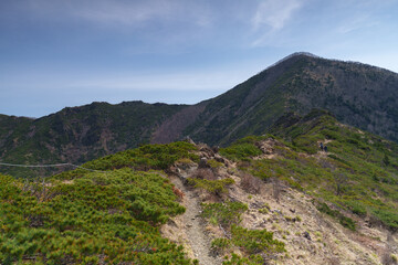 アポイ岳登山　花の百名山　北海道の絶景