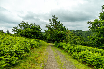 Wanderung durch den wunderschönen Nationalpark Dartmoor vom Castle Drogo zur Fingle Bridge - Exeter - Vereinigtes Königreich