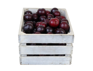 Cherry plums in white wooden box isolated on white background