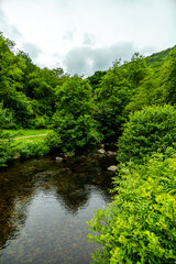 Fototapeta premium Wanderung durch den wunderschönen Nationalpark Dartmoor vom Castle Drogo zur Fingle Bridge - Exeter - Vereinigtes Königreich