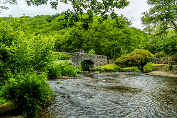 Obraz premium Wanderung durch den wunderschönen Nationalpark Dartmoor vom Castle Drogo zur Fingle Bridge - Exeter - Vereinigtes Königreich