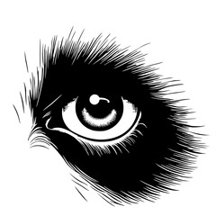 Panda eye silhouette © Breck