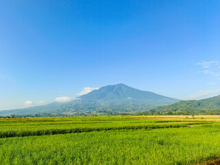 Beautiful view of green rice fields with mountains and clouds blue sky