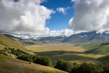 Fototapeta premium Italy, Umbria, Monti Sibillini, Castelluccio di Norcia, Lentil blossoming