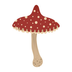 Fly agaric isolated illustration. Autumn amanita mushroom. Fall mushroom for sticker, logo, children book, print. Isolated vector element. White background.