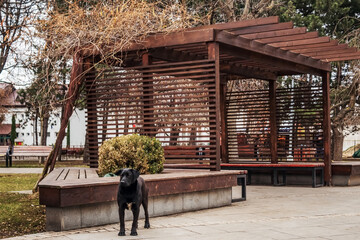 City Architecture - Europe, Romania, Suceava region, , Radauti city