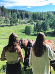 Scandinavian Summer with Horses: Girls, Meadows, and Equestrian Moments in Sweden