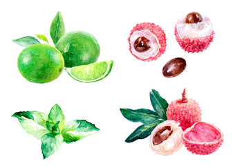 Watercolor illustrations of lime, lychee with leaves, ideal for botanical and citrus designs