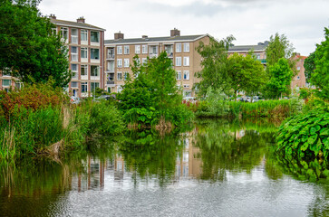 Obraz premium The Hague, The Netherlands, June 16, 2024: low-rise brick apartment buildings from around 1960 overlloing a pond surrounded by lush green vegatation