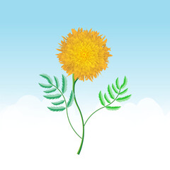 Yellow SunFlower Vector illustration of Isolated  Sky Background 