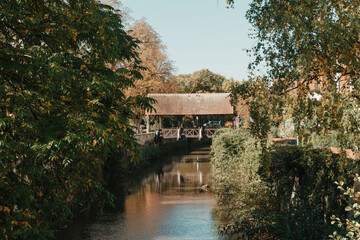 Fototapeta premium A wooden bridge in the park with and autumn colors of Bietigheim-Bissingen, Germany. Europe. Autumn landscape in nature. Autumn colors in the forest. autumn view with wooden bridge over stream in the