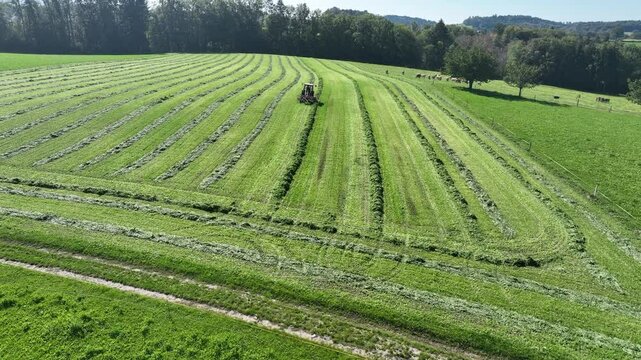 Smooth drone shot of tractor with grass Tedder turning hay on green meadow in Switzerland.
