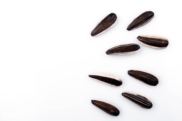 sunflower seed isolated on white background