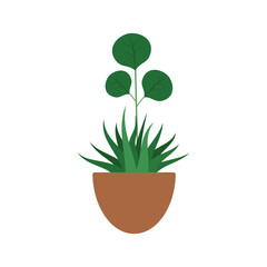 Cartoon flat different indoor potted decorative houseplants for interior home or office decoration, green garden floral. Plant in pot vector illustration