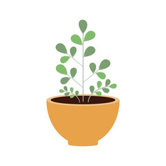 Cartoon flat different indoor potted decorative houseplants for interior home or office decoration, green garden floral. Plant in pot vector illustration