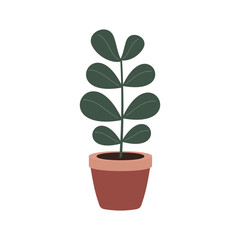 Cartoon flat different indoor potted decorative houseplants for interior home or office decoration, green garden floral. Plant in pot vector illustration