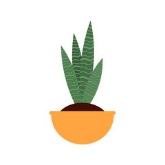 Cartoon flat different indoor potted decorative houseplants for interior home or office decoration, green garden floral. Plant in pot vector illustration