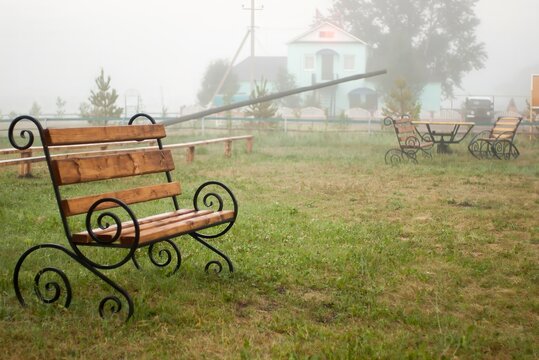 Foggy Field with Park Bench