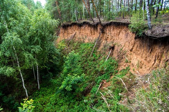 Trees fallen debris downhill disaster scene nature's wrath