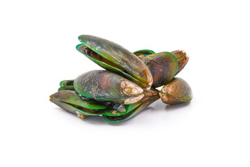 Fresh mussels isolated on white background. seafood.