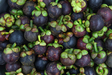 The Mangosteen for the background