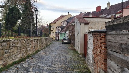 The city street is paved with cobblestones. On one side is a park with trees and lampposts, and on the other side are fences and houses. A clear evening in late autumn. Dusk is coming