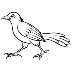illustration of a bird