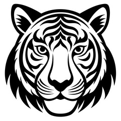 Fototapeta premium head of a tiger
