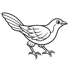 dove of peace on a branch