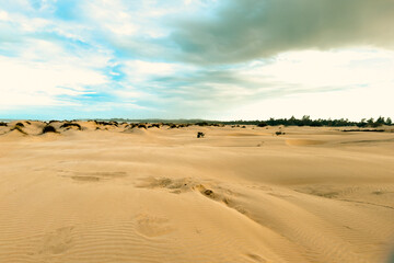 Scenic view of sand dunes on the Beach at Mambrui Beach inMalindi, Kilifi County in Kenya
