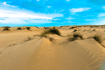 Scenic view of sand dunes on the Beach at Mambrui Beach inMalindi, Kilifi County in Kenya

