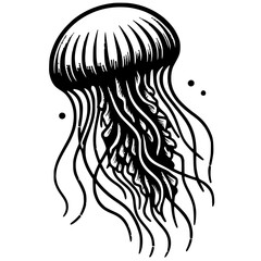 Jellyfish sketch silhouette