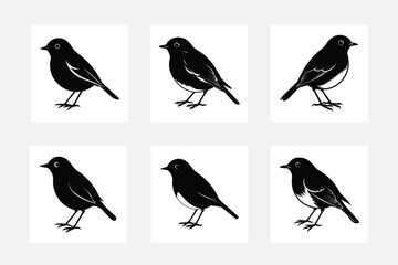 Magpie Bird vector set