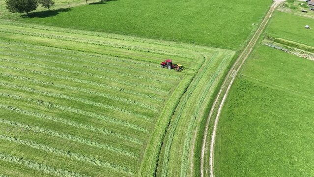 Smooth drone shot of tractor with grass Tedder turning hay on green meadow in Switzerland.