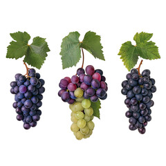 Fototapeta premium Detailed digital illustration of a bunch of red grapes with green leaves, showcasing natural texture and vibrant colors. 