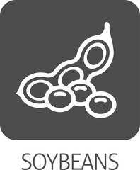 A Soybean Soy Bean Food Allergen Icon Concept
