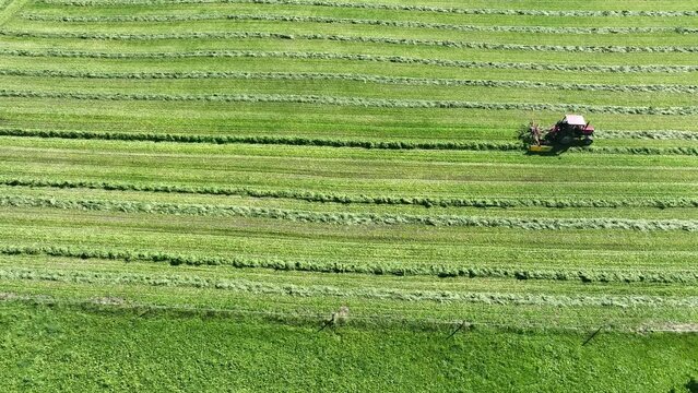 Smooth drone shot of tractor with grass Tedder turning hay on green meadow in Switzerland.