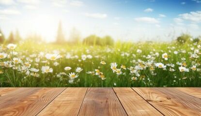 Empty table on summer blurred background. Mockup for presentation, product branding, cosmetics, food or decoration.