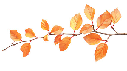 Fototapeta premium Tree branch with bright red and yellow leaves isolated on transparent background.
