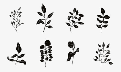 Hand drawn monochrome flower set. Black elegant floral illustration in isolation. Hand drawn leaves and flower design elements