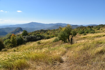 Beautiful lush meadows in fall colors with wild hay