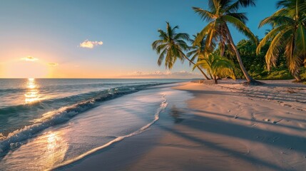 Fototapeta premium A peaceful beach with palm trees and smooth sand, the sunset creating long, soft shadows and warm tones.