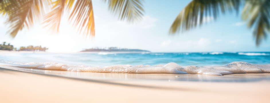 Banni&egrave;re, paysage et vue sur une plage paradisiaque, avec ciel bleu et mer. Feuilles de palmier. Vacances d'&eacute;t&eacute;, soleil, voyage. Espace vide de composition pour conception et cr&eacute;ation graphique. 