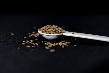Cumin Seeds