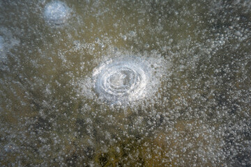 Bubbles in the ice layer, close-up photo