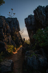 Alone with the morning atmosphere