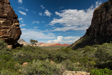 Red rock Canyon Las Vegas Rocky Cliff