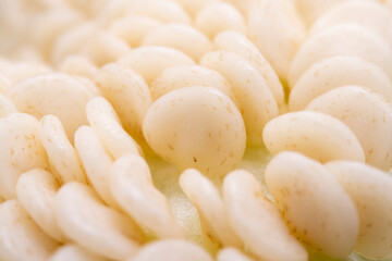 Macro photo of pepper seeds