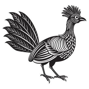 recommend clip art: Lyrebird vector illustration silhouette