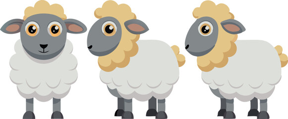 Obraz premium Three sheep are standing in a row, with one of them looking at the camera